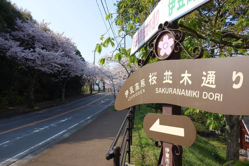 伊豆高原 温泉付別荘 Isana Mountain Villa Futo Extérieur photo