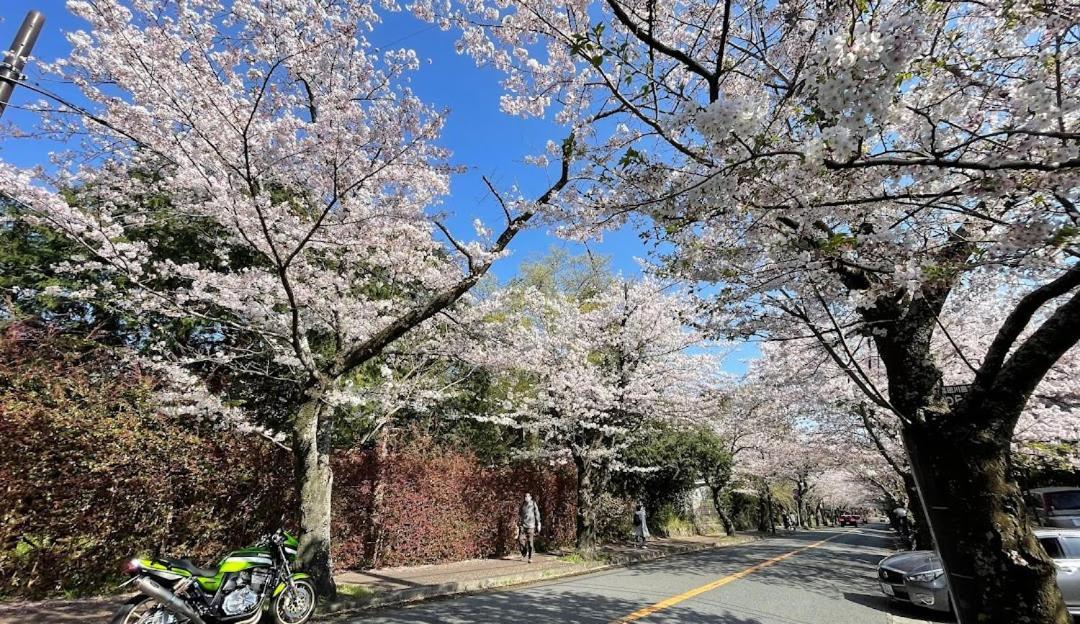 伊豆高原 温泉付別荘 Isana Mountain Villa Futo Extérieur photo